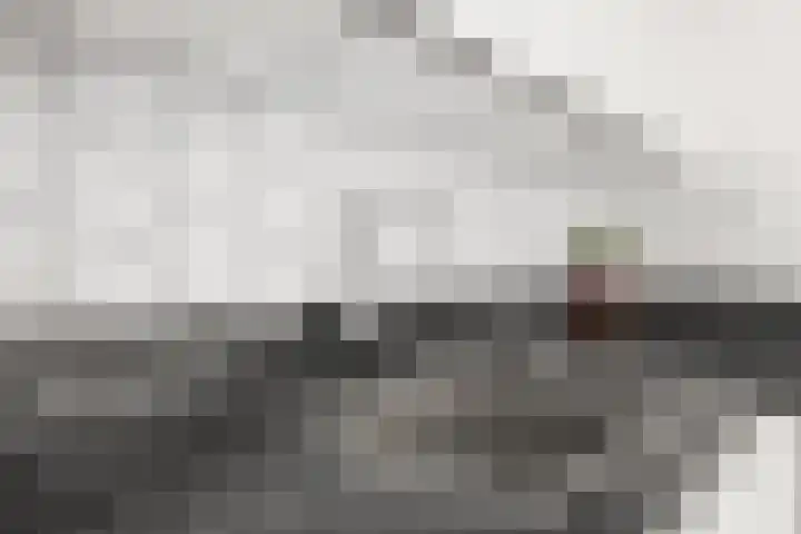 Dommelrode 3 Koudekerke thumbnail 14