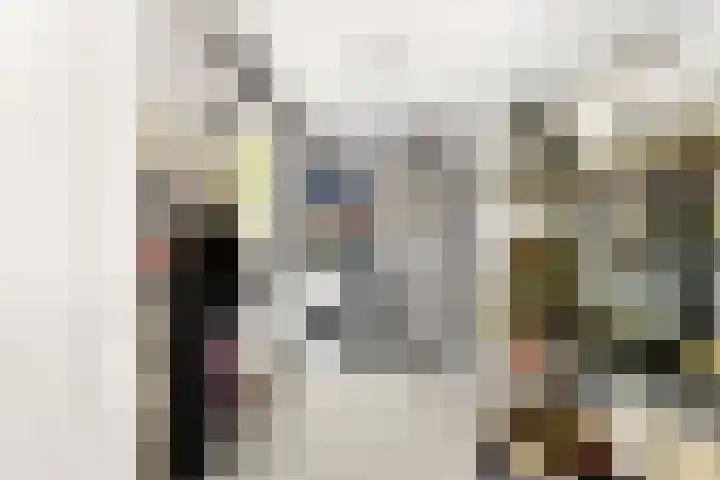 Dommelrode 3 Koudekerke thumbnail 15