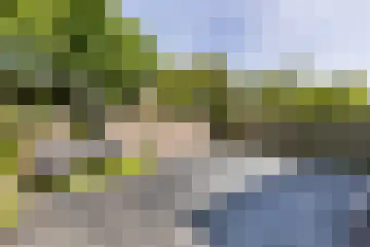 Dommelrode 3 Koudekerke thumbnail 17