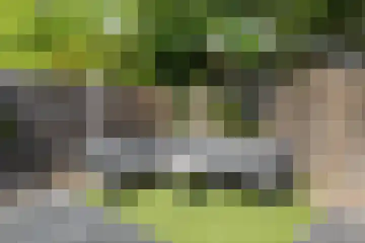 Dommelrode 3 Koudekerke thumbnail 18
