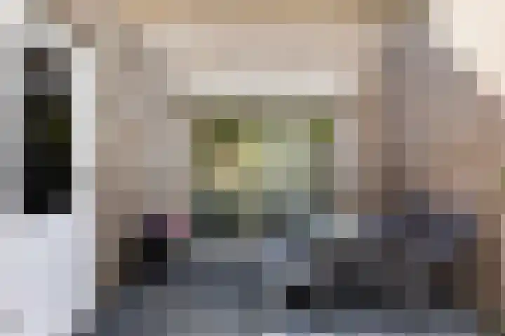 Dommelrode 3 Koudekerke thumbnail 19