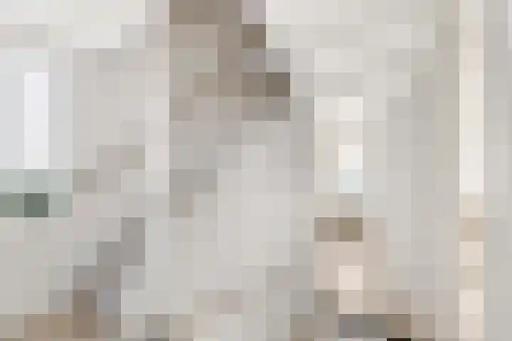 Dommelrode 3 Koudekerke thumbnail 21