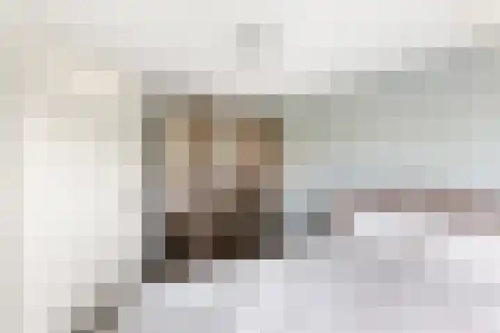 Dommelrode 3 Koudekerke thumbnail 23