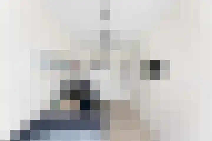 Dommelrode 3 Koudekerke thumbnail 25
