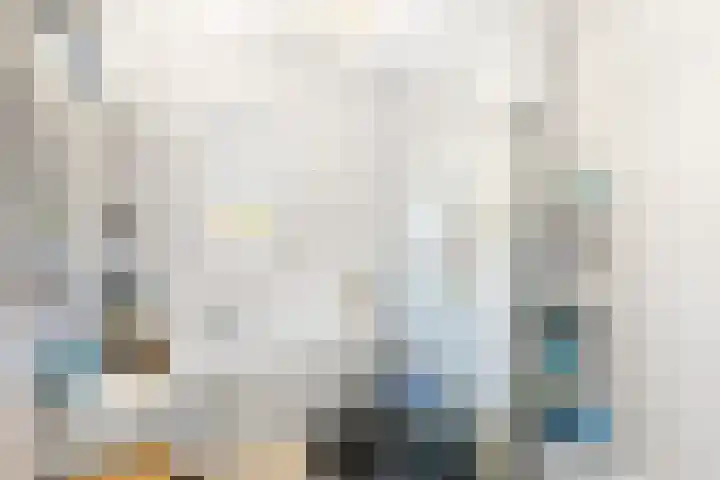 Dommelrode 3 Koudekerke thumbnail 27