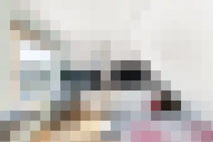 Dommelrode 3 Koudekerke thumbnail 29