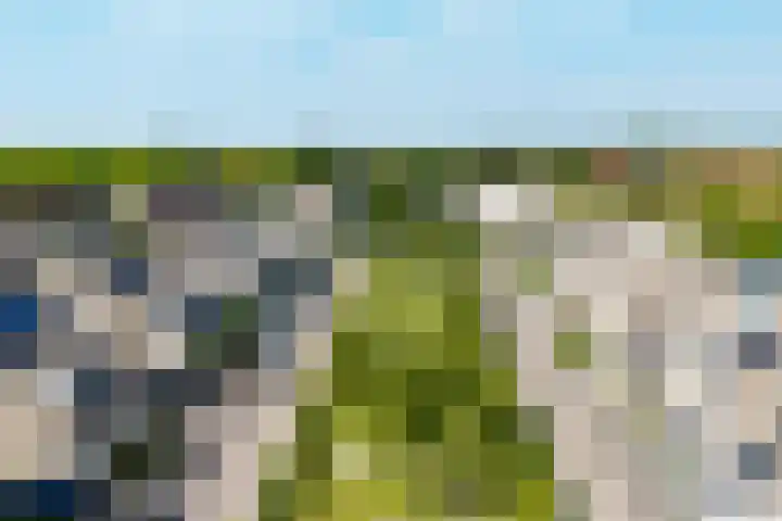 Dommelrode 3 Koudekerke thumbnail 5