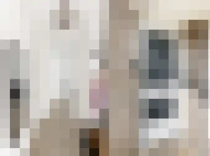 Dommelrode 3 Koudekerke thumbnail 7