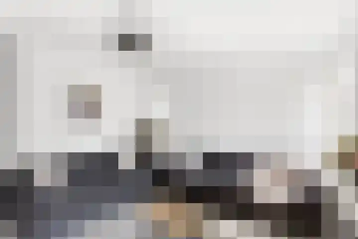 Dommelrode 3 Koudekerke thumbnail 9