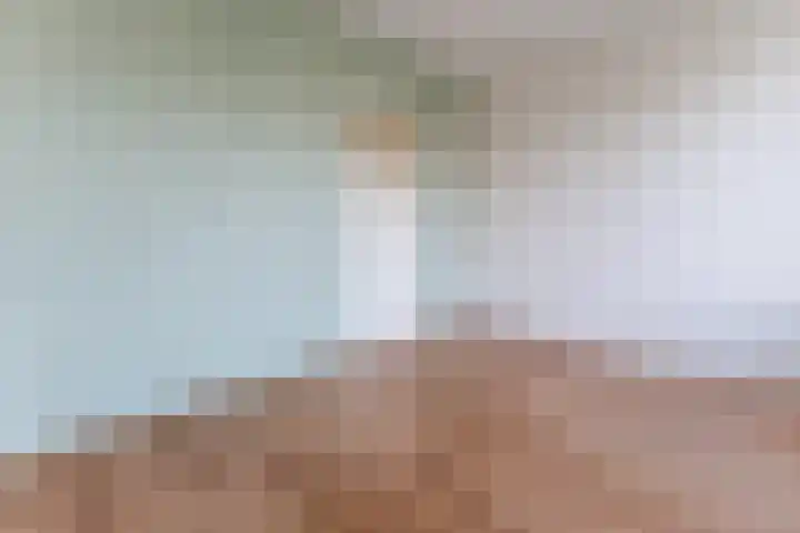 Dommelrode 49 Rotterdam thumbnail 13