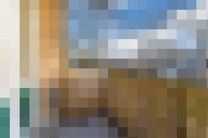 Dommelrode 49 Rotterdam thumbnail 17
