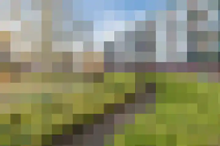 Dommelrode 49 Rotterdam thumbnail 21