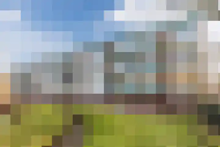 Dommelrode 49 Rotterdam thumbnail 22
