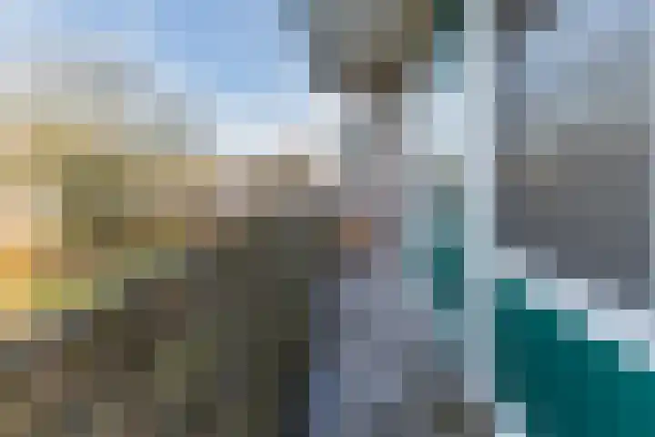 Dommelrode 49 Rotterdam thumbnail 8