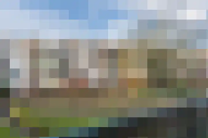 Dommelrode 49 Rotterdam thumbnail 9