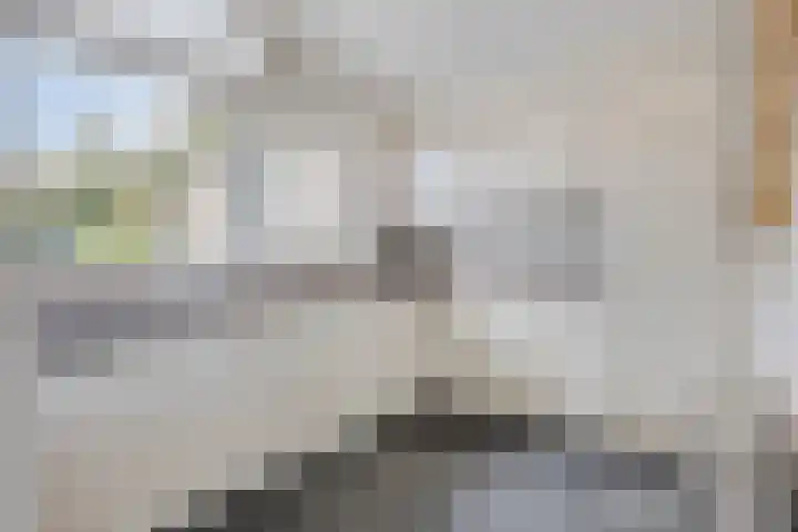 Dommelrode 8 Koudekerke thumbnail 10