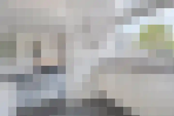 Dommelrode 8 Koudekerke thumbnail 11