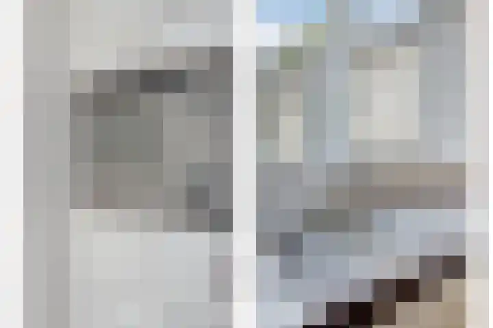 Dommelrode 8 Koudekerke thumbnail 12