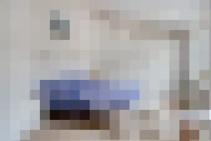 Dommelrode 8 Koudekerke thumbnail 13