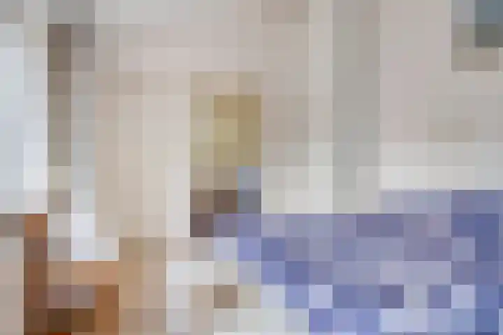 Dommelrode 8 Koudekerke thumbnail 14