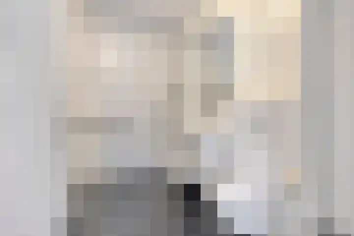 Dommelrode 8 Koudekerke thumbnail 15