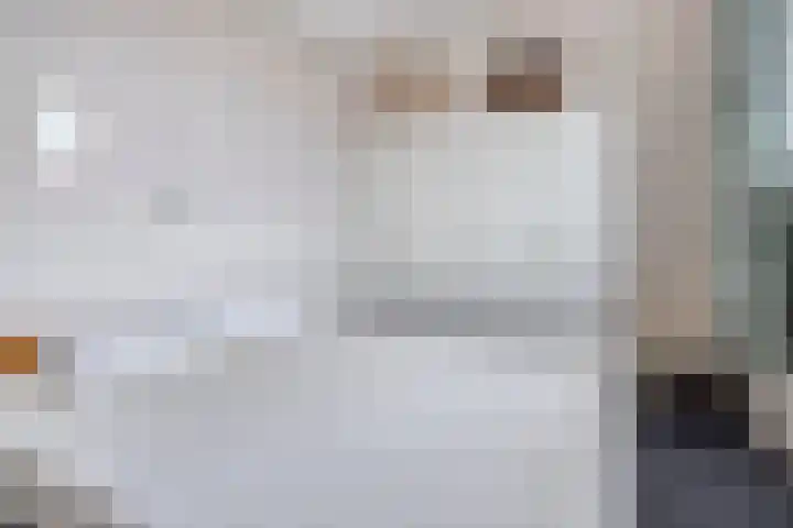 Dommelrode 8 Koudekerke thumbnail 20