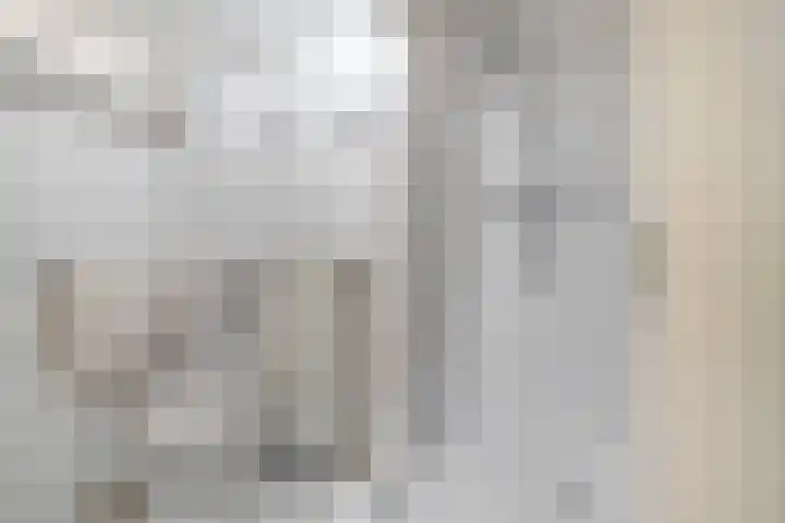 Dommelrode 8 Koudekerke thumbnail 23