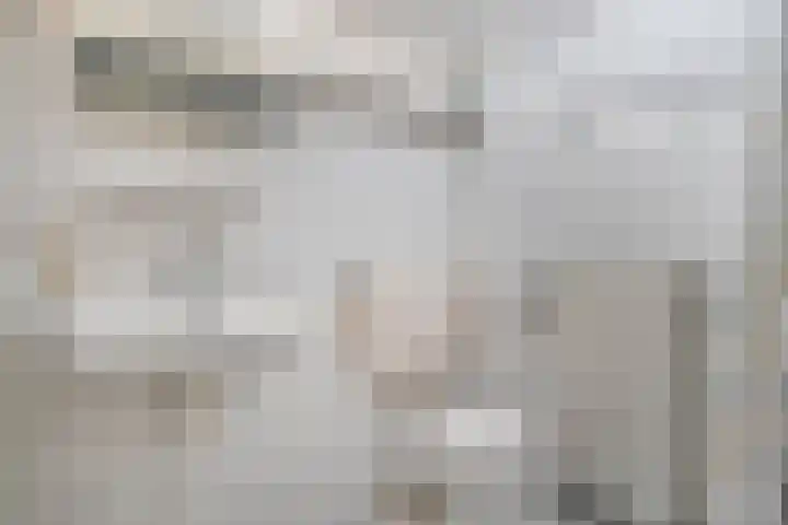 Dommelrode 8 Koudekerke thumbnail 24