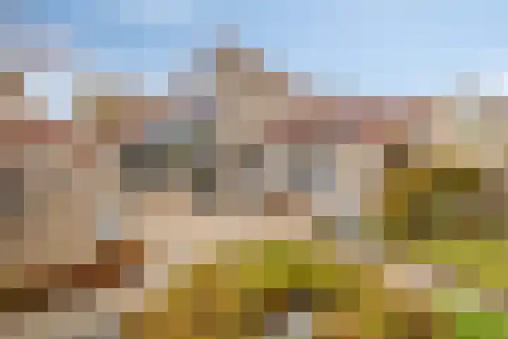 Dommelrode 8 Koudekerke thumbnail 25