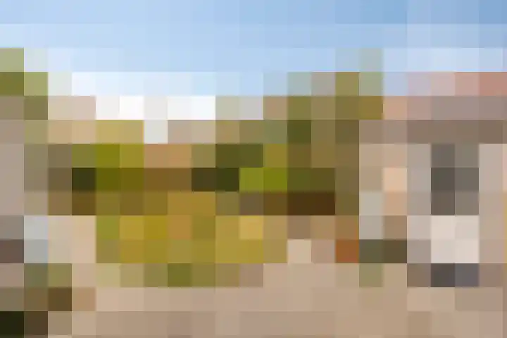 Dommelrode 8 Koudekerke thumbnail 28