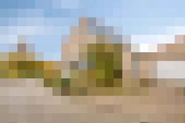 Dommelrode 8 Koudekerke thumbnail 31
