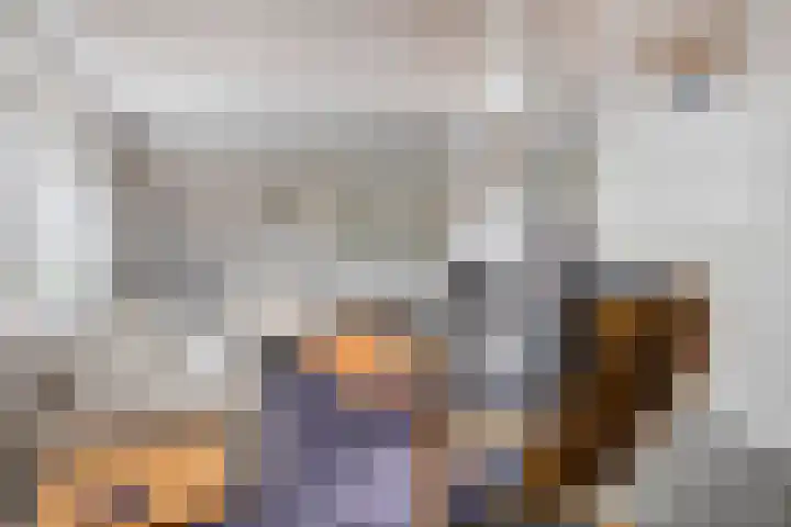 Dommelrode 8 Koudekerke thumbnail 4