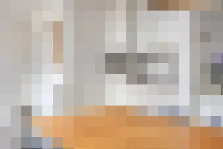 Dommelrode 8 Koudekerke thumbnail 9