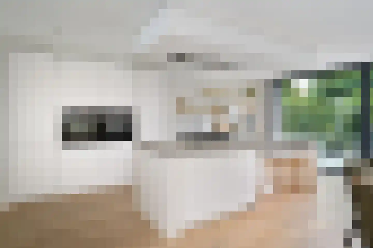 Dommelrodelaan 19 Sint-Oedenrode thumbnail 10