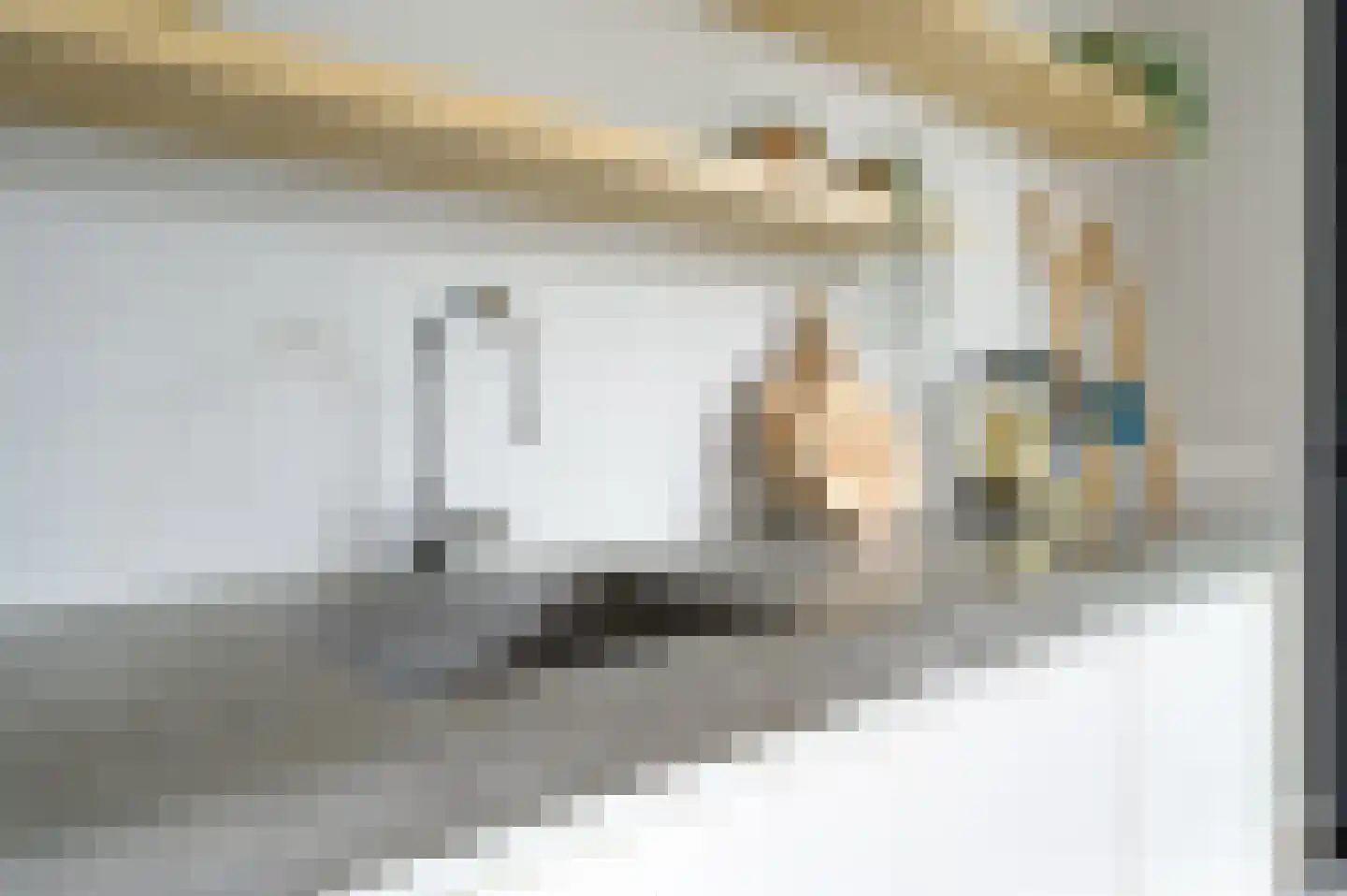 Dommelrodelaan 19 Sint-Oedenrode thumbnail 14