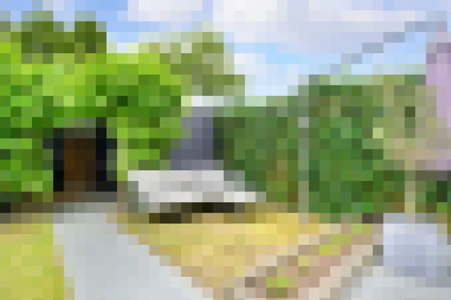 Dommelrodelaan 19 Sint-Oedenrode thumbnail 36