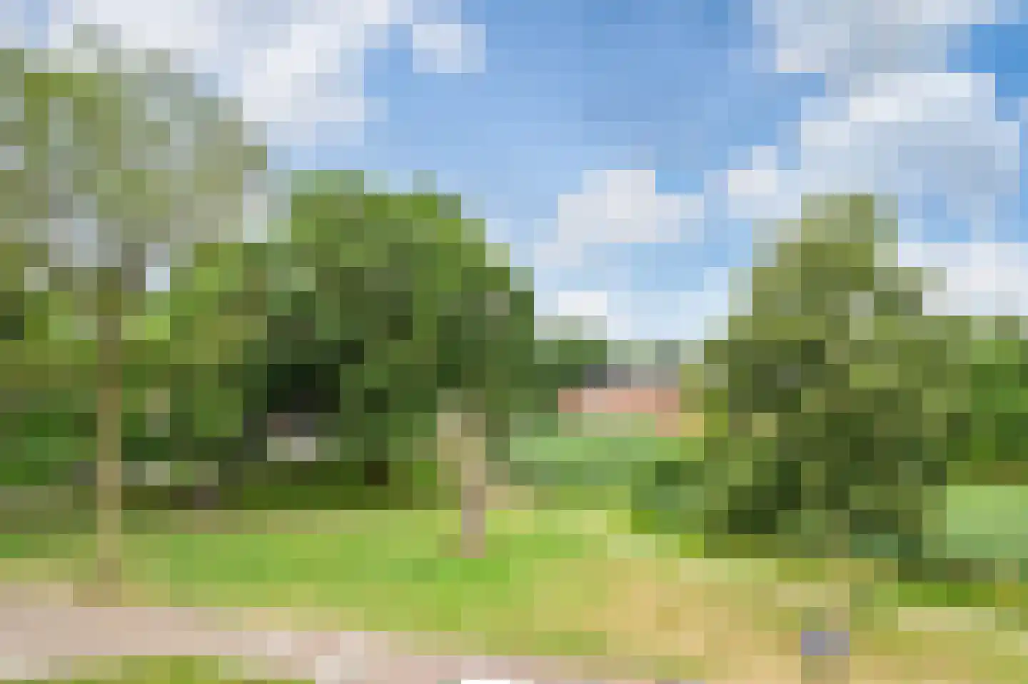 Dommelrodelaan 19 Sint-Oedenrode thumbnail 43