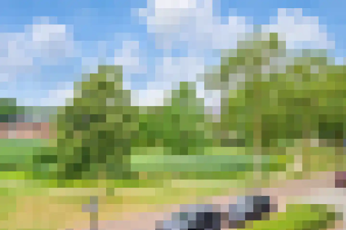 Dommelrodelaan 19 Sint-Oedenrode thumbnail 44