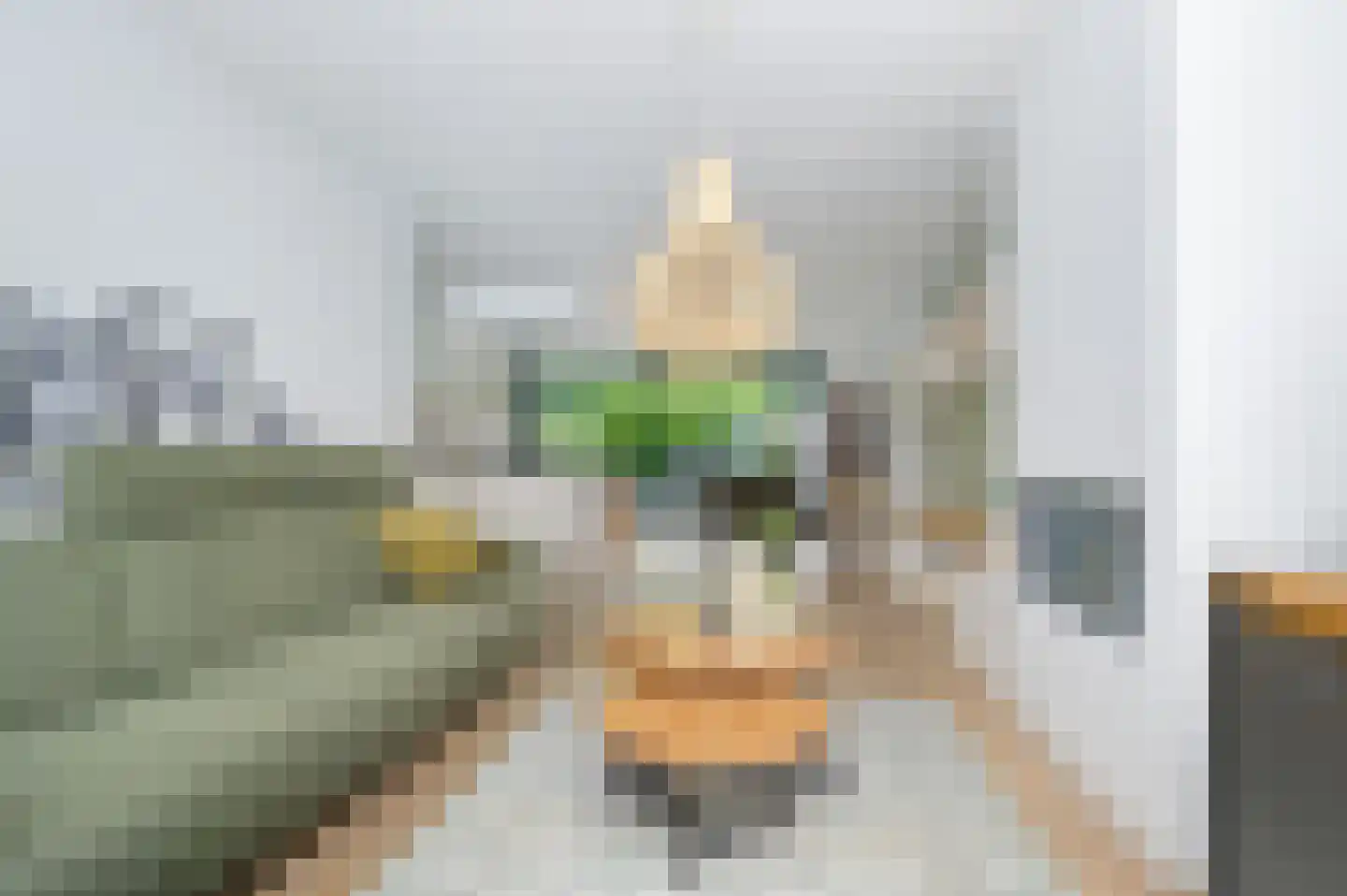 Dommelrodelaan 19 Sint-Oedenrode thumbnail 5