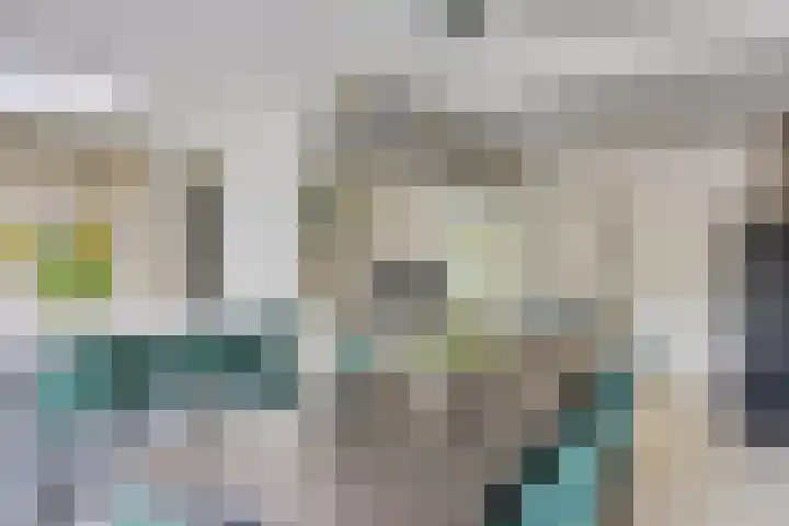 Dommelrodelaan 23 Sint-Oedenrode thumbnail 16