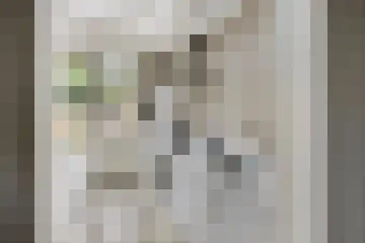 Dommelrodelaan 23 Sint-Oedenrode thumbnail 18