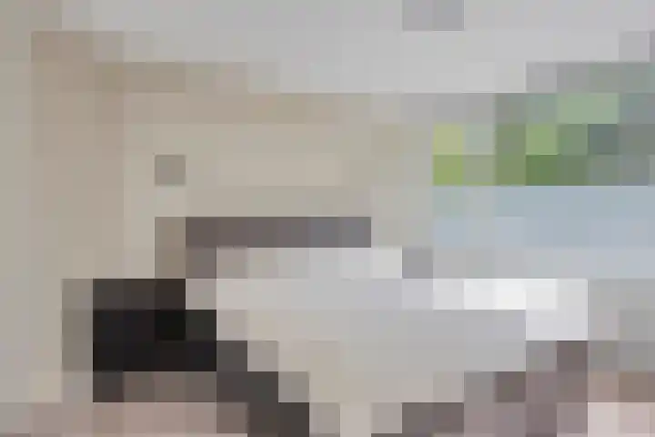 Dommelrodelaan 23 Sint-Oedenrode thumbnail 20