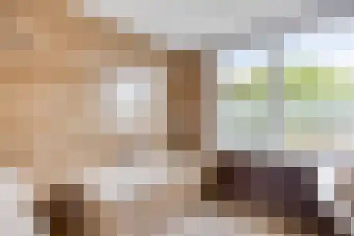 Dommelrodelaan 23 Sint-Oedenrode thumbnail 23