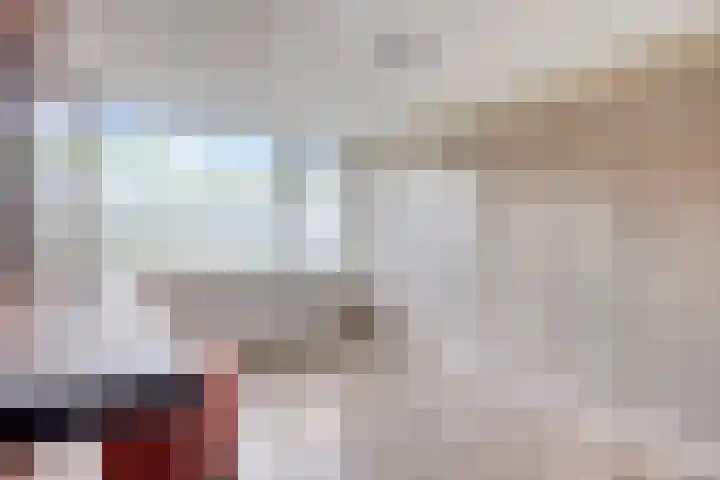 Dommelrodelaan 23 Sint-Oedenrode thumbnail 26