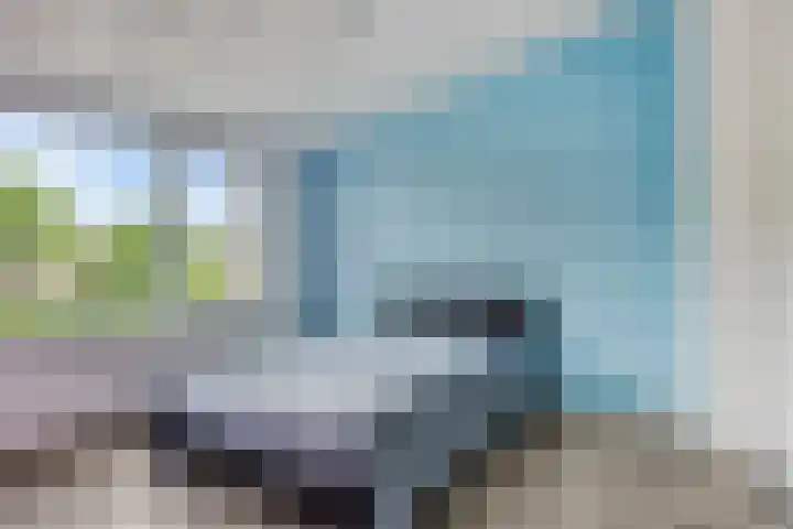 Dommelrodelaan 23 Sint-Oedenrode thumbnail 29