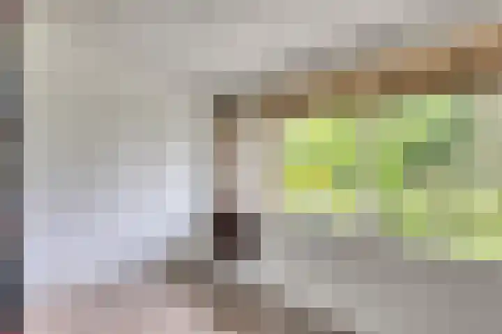 Dommelrodelaan 23 Sint-Oedenrode thumbnail 31