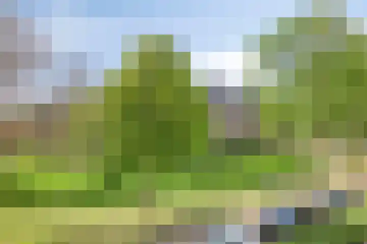Dommelrodelaan 23 Sint-Oedenrode thumbnail 35