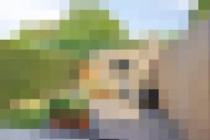 Dommelrodelaan 23 Sint-Oedenrode thumbnail 36