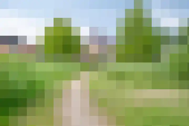 Dommelrodelaan 23 Sint-Oedenrode thumbnail 39
