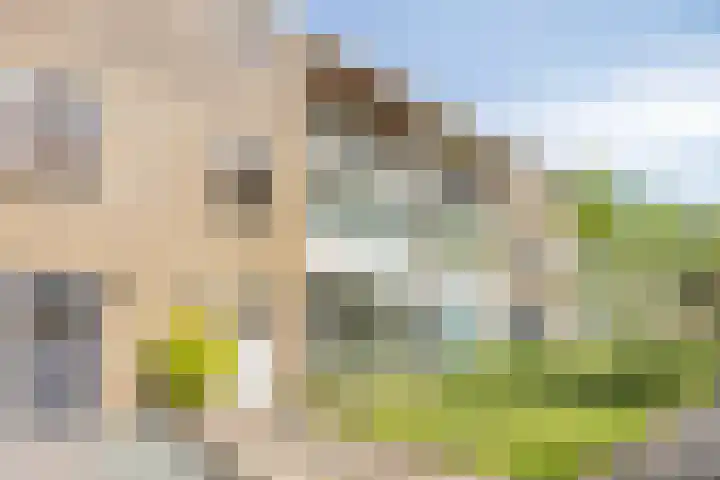Dommelrodelaan 23 Sint-Oedenrode thumbnail 40
